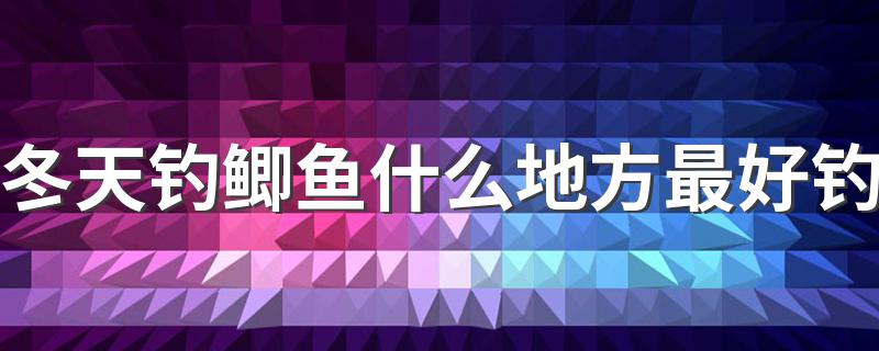 冬天钓鲫鱼什么地方最好钓 明确这三个选择技巧您就是钓鱼达人