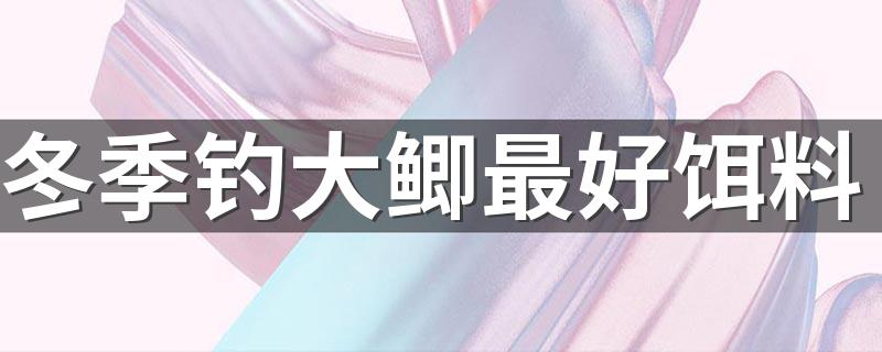 冬季钓大鲫最好饵料 寒冬钓大鲫鱼配方