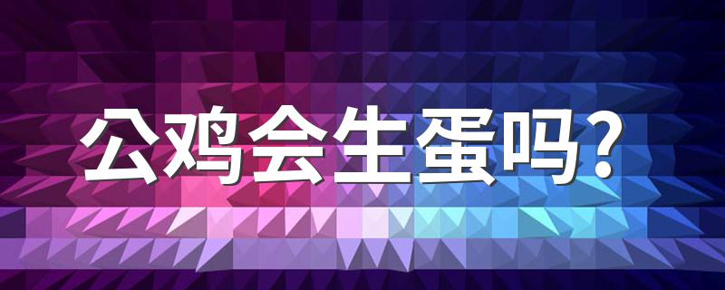 公鸡会生蛋吗? 鸡如何交配