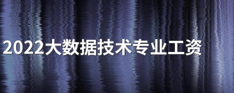 2022大数据技术专业工资待遇 薪资怎么样