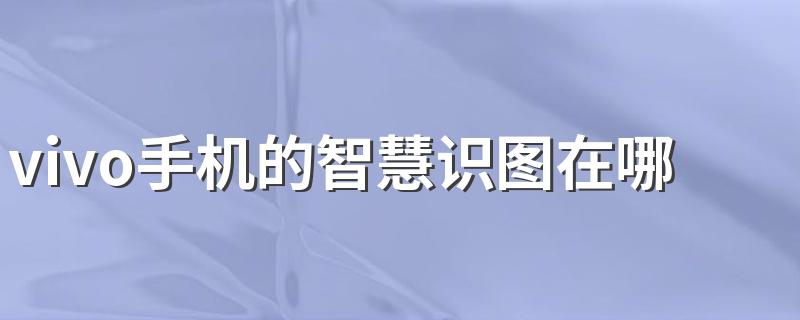 vivo手机的智慧识图在哪里 vivo手机的智慧识图在JOVI选项中