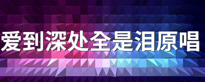 爱到深处全是泪原唱 有什么代表作呢