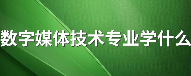 数字媒体技术专业学什么 好就业吗