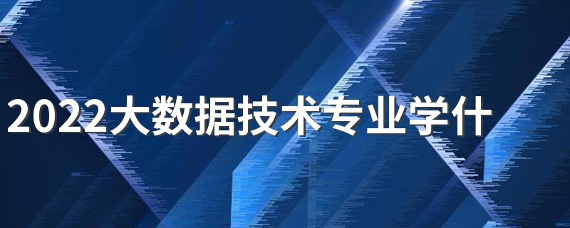 2022大数据技术专业学什么 主要课程有哪些