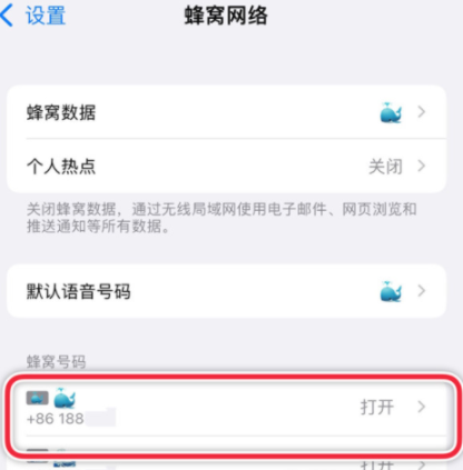 iphone13怎么设置主副号-iphone13双卡打电话怎么切换