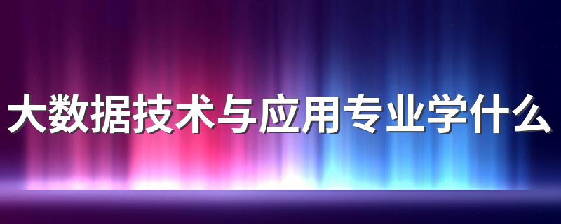 大数据技术与应用专业学什么 有哪些内容