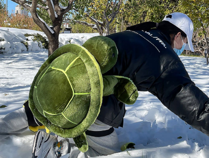 滑雪护具好用还是小乌龟好用-滑雪小乌龟可以替代护具吗