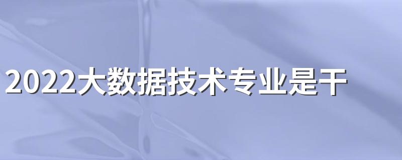 2022大数据技术专业是干什么的 好不好就业