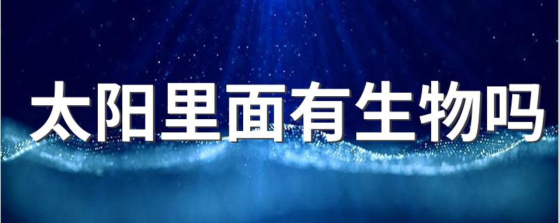 太阳里面有生物吗 太阳里面有生物存在吗