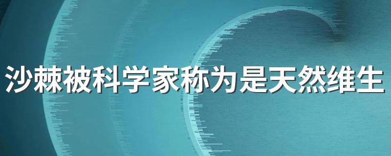 沙棘被科学家称为是天然维生素的什么