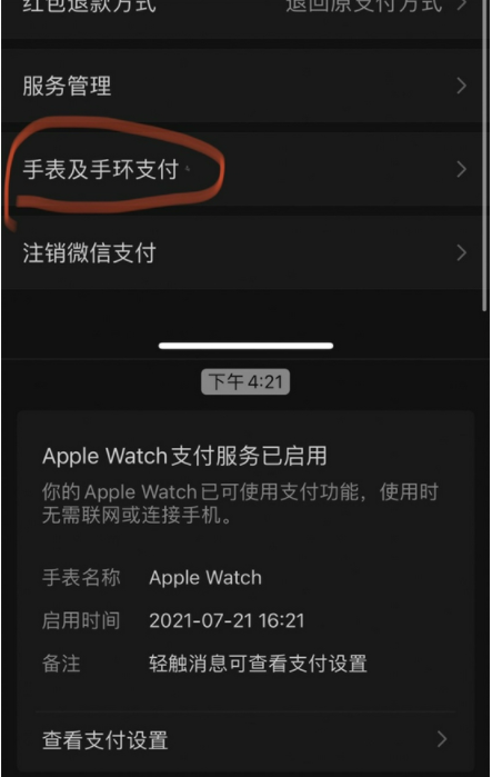 applewatch可不可以微信支付2021-apple watch微信支付在哪里