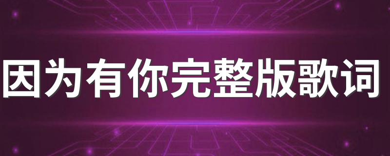 因为有你完整版歌词 因为有你歌简介