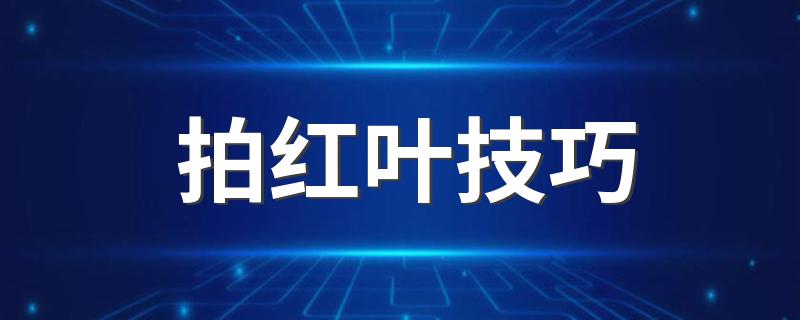 拍红叶技巧 拍红叶你需要这几个实用的拍照技巧