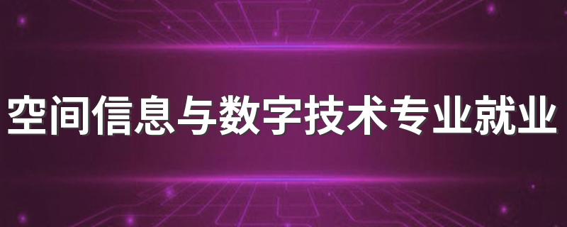 空间信息与数字技术专业就业前景 有什么岗位