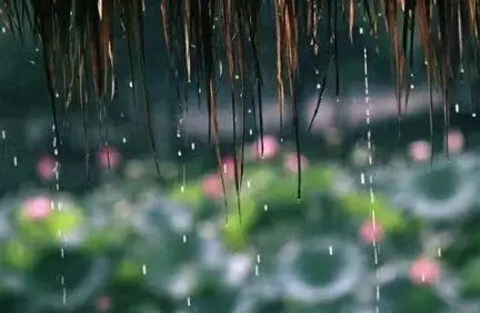 今年的梅雨期真到7月19号就结束了吗2022-梅雨季节一般是几月