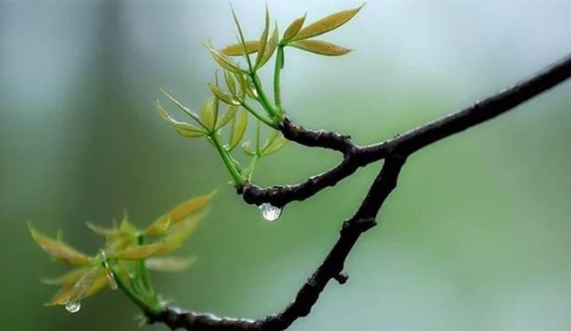 2022年4月会下暴雨吗-2022年4月雨水多吗