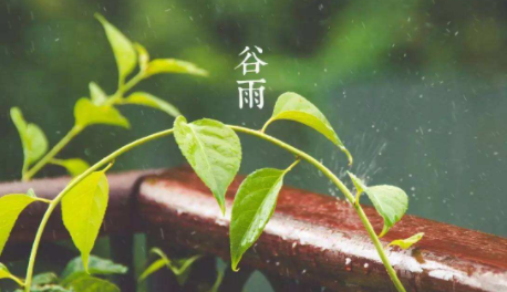 谷雨是农历几月几日2023-每年谷雨是几月初几