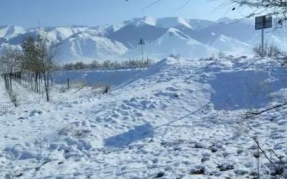 大雪节气晴天好不好-大雪节气晴天预示是暖冬吗