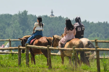 2021武汉乡村旅游惠民券哪些景点免费-武汉乡村旅游惠民券包含付费项目吗