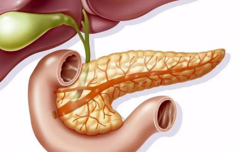 诊断胰腺炎但一直不疼严重吗-胰腺炎能吃的菜谱大全