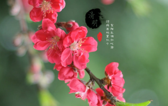 清明节上坟烧大香好还是小香好-清明节上坟烧几根香