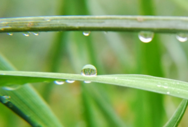 2022年4月会下暴雨吗-2022年4月雨水多吗