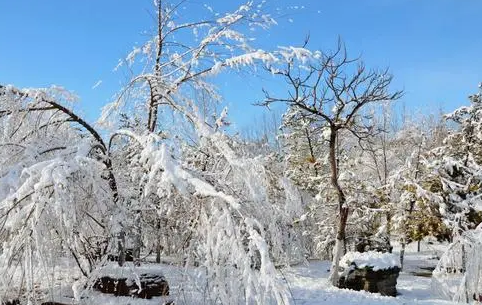 南京2022年元旦会下雪吗-南京元旦期间天气怎么样