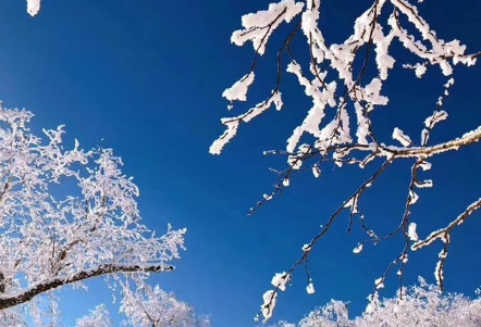 哈尔滨今年什么时候下雪2021-10月份的哈尔滨会不会下雪