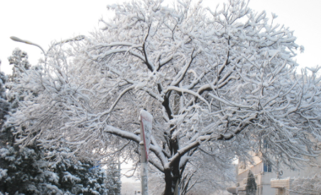 今日几点大雪节气2022-大雪节气是什么时辰