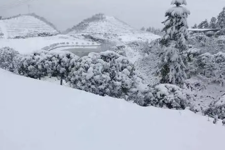 2022重庆过年会不会下雪-重庆过年天气怎么样