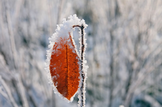 今年冬天北方雨雪多吗2021-2022-今年北方冬天会下很大的雪吗