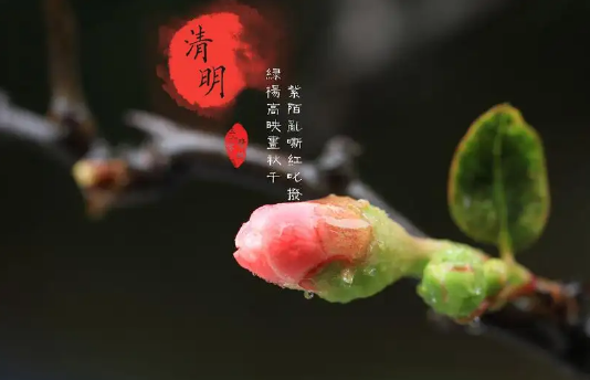 清明节上坟分上下午吗-清明节上坟上午还是下午好