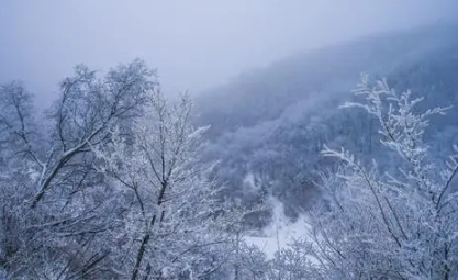 大雪节气晴天来年干旱吗-大雪节气天气晴朗预示什么