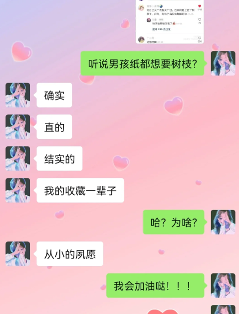 情人节送树枝什么梗-送树枝给男朋友什么意思