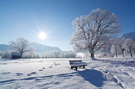 今年会出现2008年的雪天吗2021-2022-今年会出现08年寒冷冬天吗