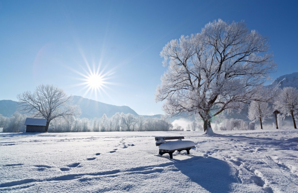 今年冬天南方有霜冻吗-今年冬天南方有大雪吗