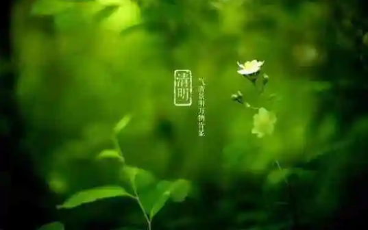 清明节上坟选日子是选阴历还是选阳历好-清明节上坟分农历阳历吗