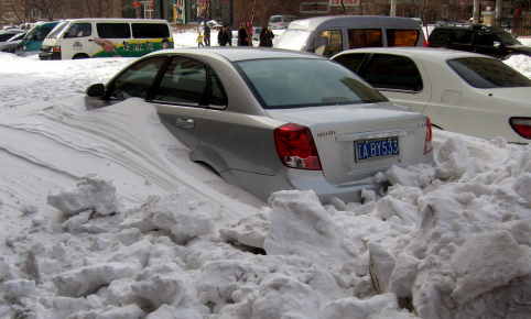 2008年雪灾什么股票涨得最好-08年雪灾什么物质最缺