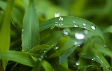 2022年雨水前一天是绝日吗-雨水节气前后的忌讳有哪些