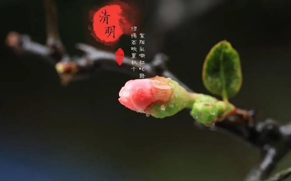 2022清明节立碑哪天最合适-2022清明节立碑什么时候立适宜