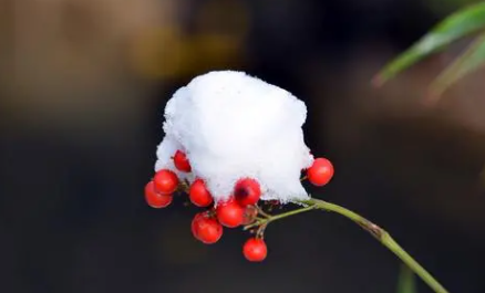 小雪节气打雷有什么说法2021-小雪节气打雷好吗