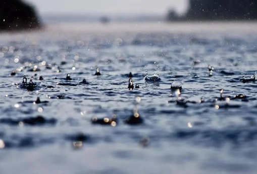 2022年上海5月份雨水多吗-上海5月份的降雨量怎么样