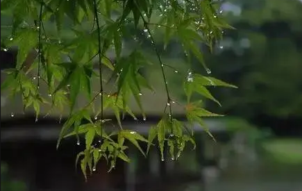 2022苏州梅雨季节什么时候开始-苏州的梅雨季节是几月份到几月份