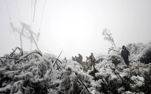 2008年雪灾什么股票涨得最好-08年雪灾什么物质最缺