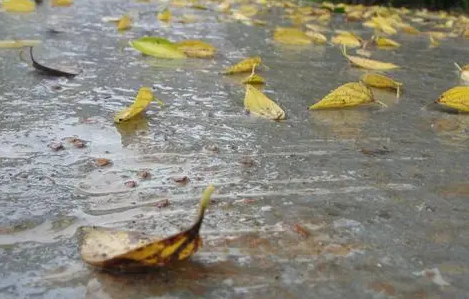 2022年大年初一会下雨吗-大年初一下雨什么说法