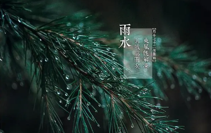 2022年雨水前一天是绝日吗-雨水节气前后的忌讳有哪些