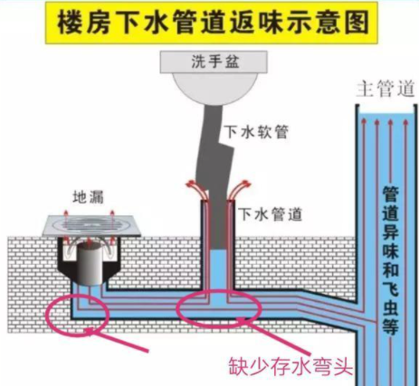 卫生间除臭用什么最好-卫生间返臭找不到哪里出来的臭味