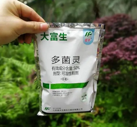 多菌灵喷多了烧叶子吗-使用多菌灵哪些是要注意的