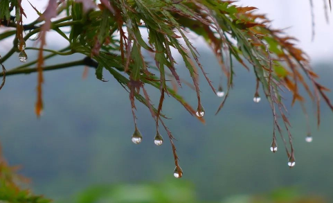 烧开的雨水可以煮饭吗-烧开的雨水可以洗澡吗