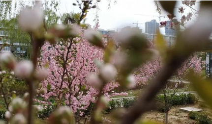 2022清明节去木兰草原露营晚上冷吗-清明节到木兰草原露营需要准备哪些东西